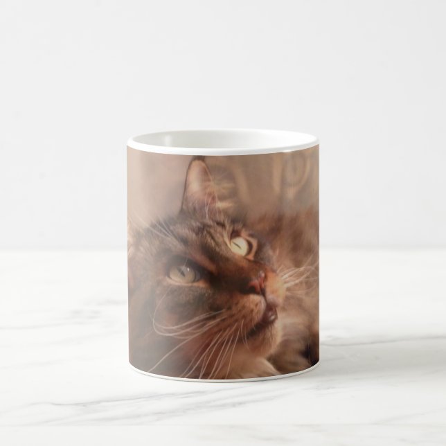 Taza de café del Coon de Maine (Centro)