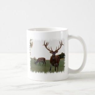Taza de café del dólar
