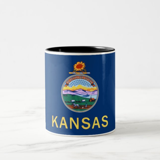 Taza de café del Dos-Tono de la bandera del estado (Centro)
