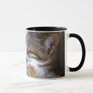 Taza de café del gato