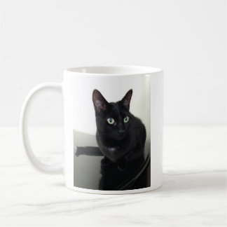 Taza de café del gato negro