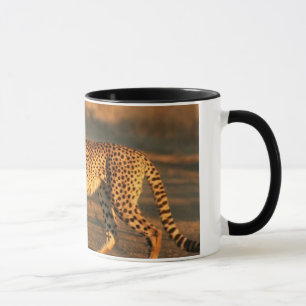 TAZA DE CAFÉ DEL GUEPARDO
