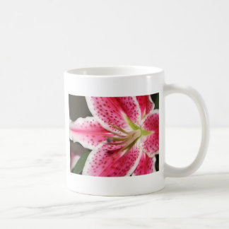 Taza de café del lirio del Stargazer #1 - 11oz