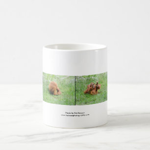 Taza de café del orangután
