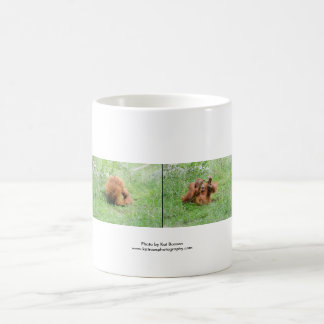 Taza de café del orangután