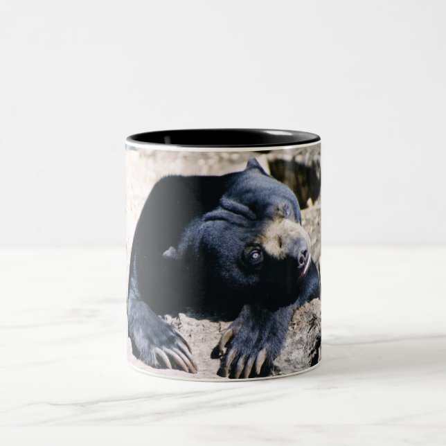 Taza de café del oso de Sun (Centro)