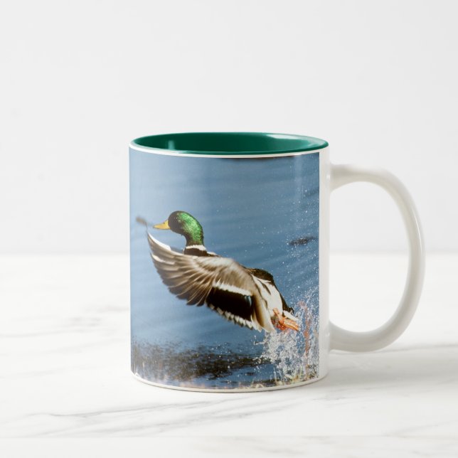 Taza de café del pato silvestre (drake) (Derecha)