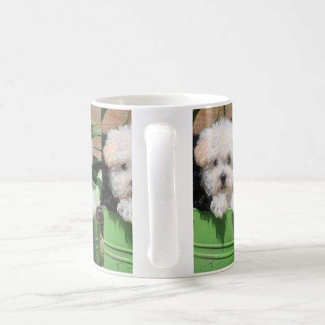 cuanto cuesta una taza de te maltipoo