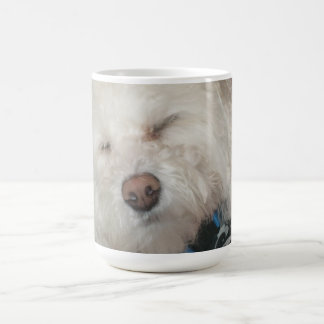 Taza de café del perro