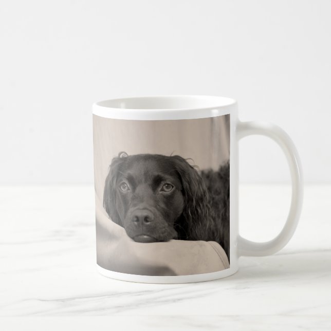 Taza de café del perro de aguas de Boykin (Derecha)