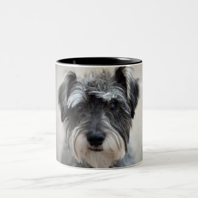 Taza de café del perro del Schnauzer (Centro)