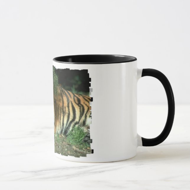 Taza de café del tigre de Bengala (Derecha)