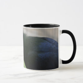 TAZA DE CAFÉ DEL TURACO DE GUINEA