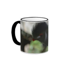 TAZA DE CAFÉ DEL TURACO DE GUINEA