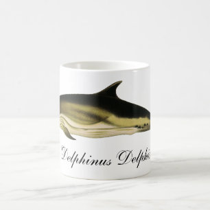Taza De Café Delfín Delphinus Delphis, Animales Marinos Antiguo