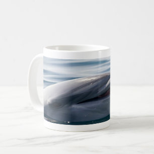Taza De Café Delfín Sonriente Elevándose Sobre Agua Azul Brilla