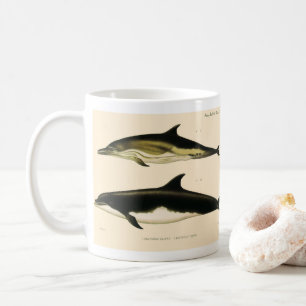 Taza De Café Delfines Vintage, Animales Mamíferos Marinos