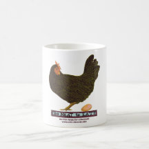 ¡Demasiado aseado comer! - Gallina