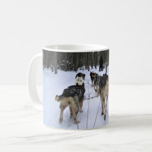 Taza De Café Derrame de perro en Quebec, Canadá