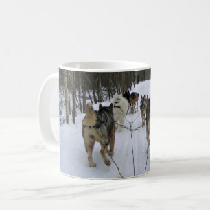 Taza De Café Derrame de perro en Quebec, Canadá