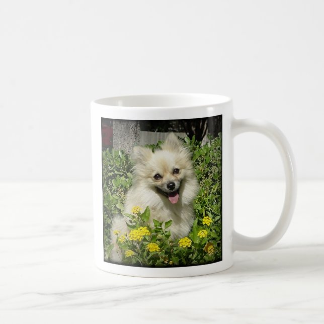 Taza De Café Descarado - la felicidad es el amor de un Pomera (Derecha)