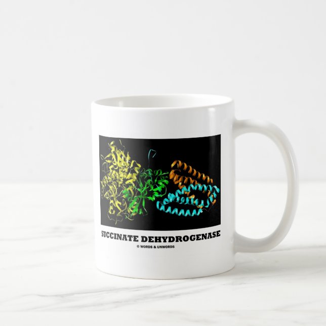 Taza De Café Deshidrogenasa del succcinato (química) (Derecha)