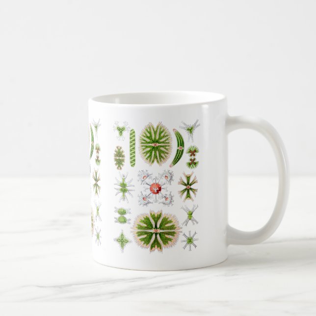 Taza De Café Desmids (Derecha)