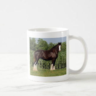 Taza De Café destino