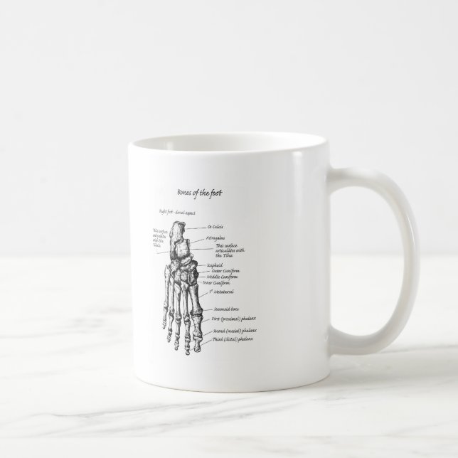 Taza De Café Detalles de los huesos de los pies (Derecha)