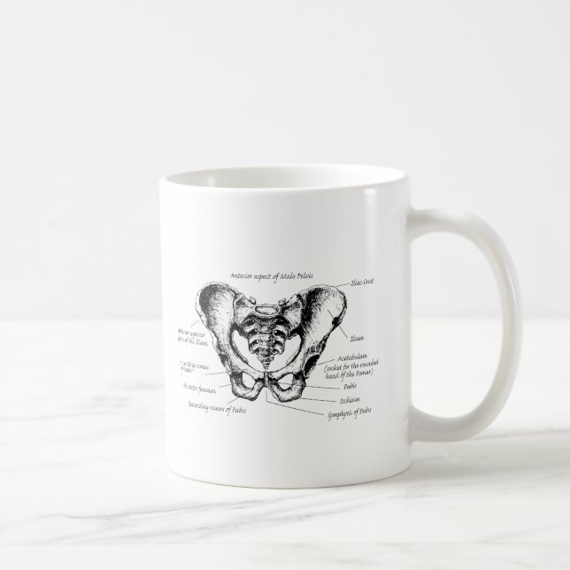 Taza De Café Detalles masculinos de la pelvis (Derecha)