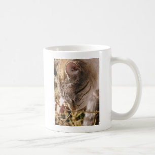 Taza De Café Detener y oler las flores