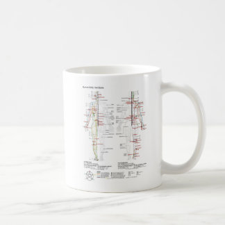 Taza De Café  Diagram Schematic Chinese Meridians Human Body 