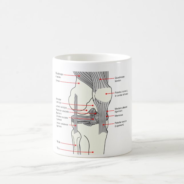 Taza De Café Diagrama anatómico de una junta de rodilla del (Centro)