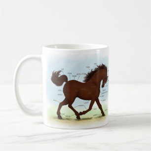 Taza De Café Diagrama de anatomía equina educativa de caballo m