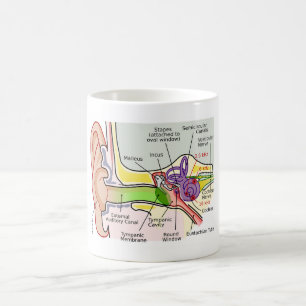 Taza De Café Diagrama de la cartografía de la frecuencia coclea