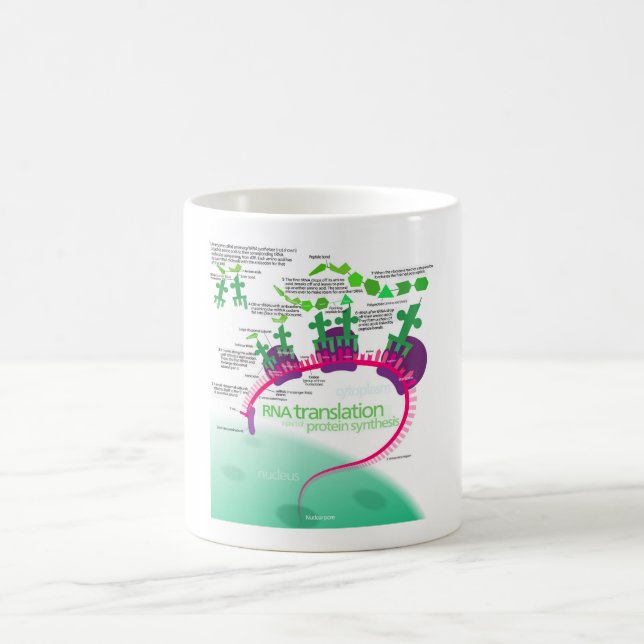 Taza De Café Diagrama de síntesis de proteínas de la traducción (Centro)