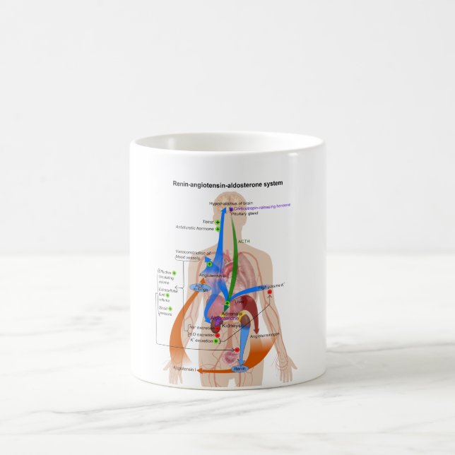 Taza De Café Diagrama de sistema (RAS) de la (Centro)