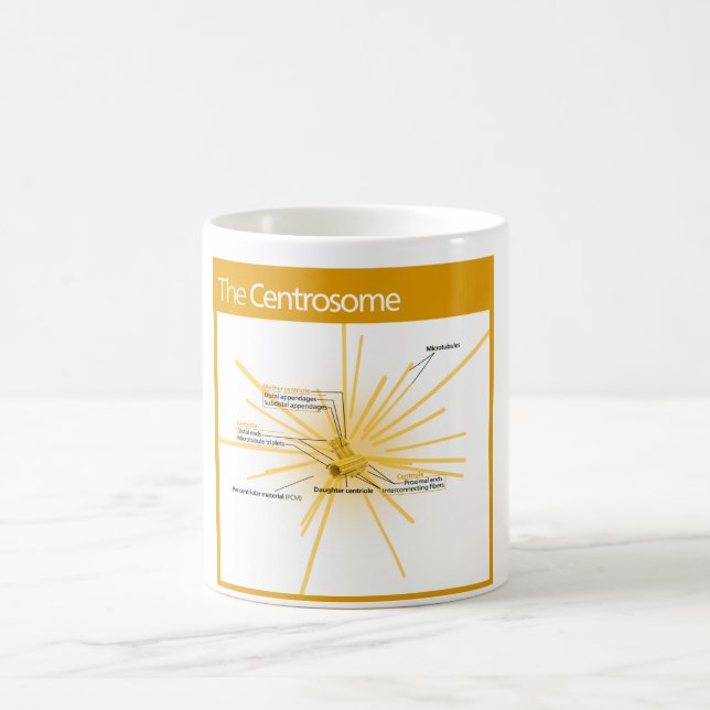 Taza De Café Diagrama de un centrosoma (Centro)