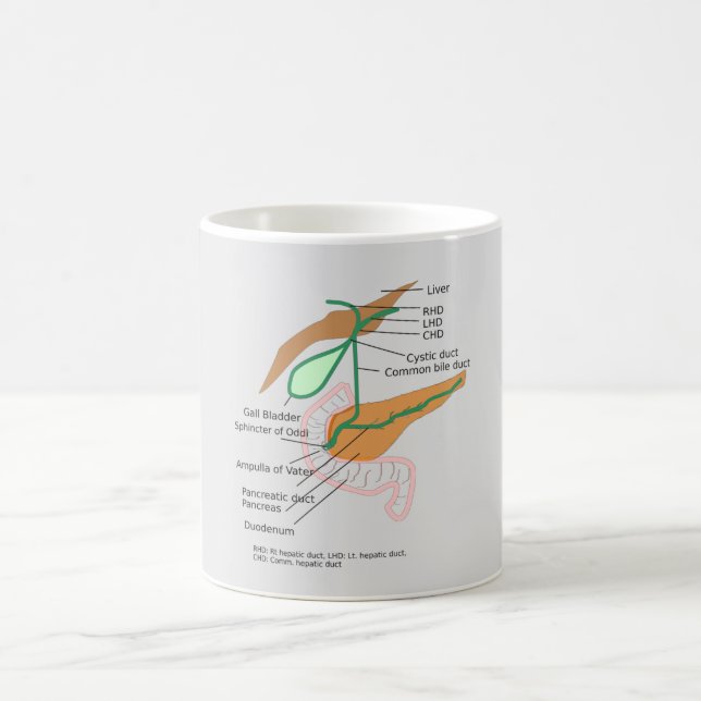 Taza De Café Diagrama del sistema bibliotecario MUG Bladura de  (Centro)