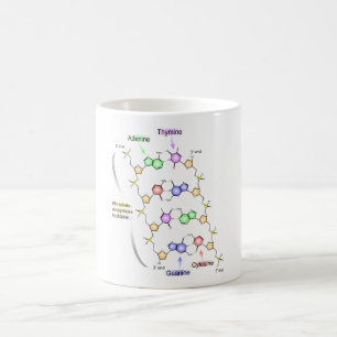 Taza De Café Diagrama detallado de la estructura química del AD