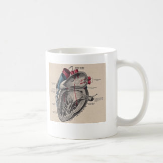 Taza De Café Diagrama humano antiguo de la anatomía del corazón