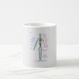 Taza De Café Diagrama MUG Arterias del sistema circulatorio hum