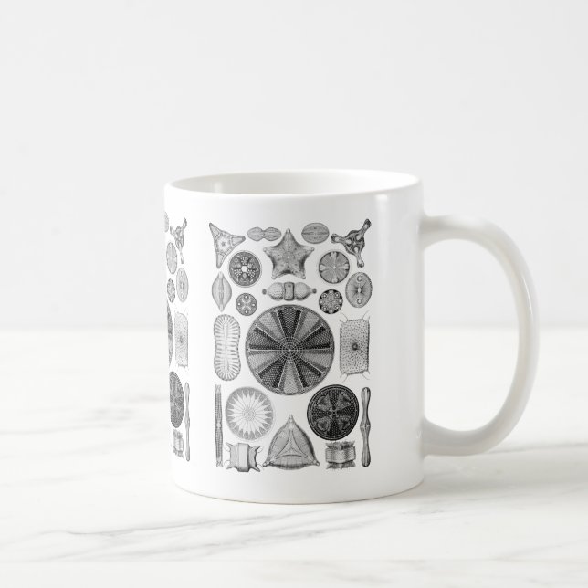 Taza De Café Diatomeas (Derecha)