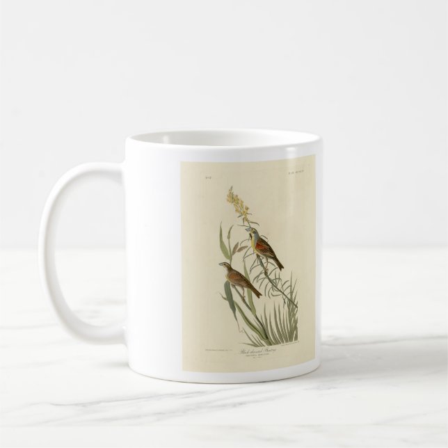 Taza De Café Dickcissel de Aves de América de Audubon (Izquierda)