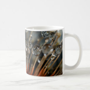 Taza De Café Diente de león y gotas de agua, CA