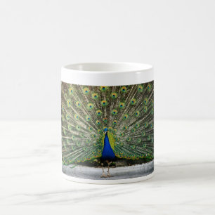 Taza De Café diseño del pavo real
