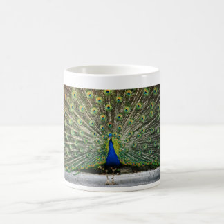 Taza De Café diseño del pavo real