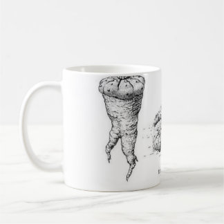 Taza De Café Diseño del williamsii del Lophophora