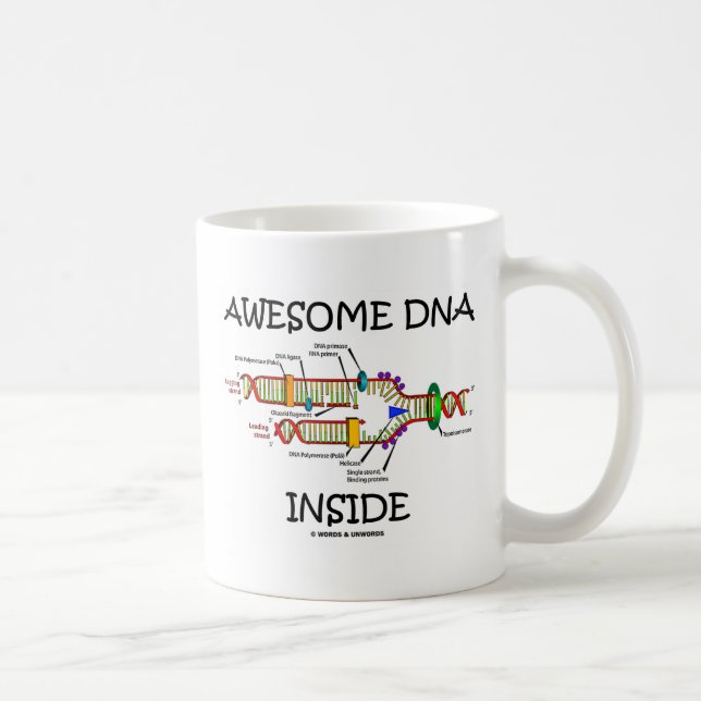 Taza De Café DNA impresionante dentro (Derecha)