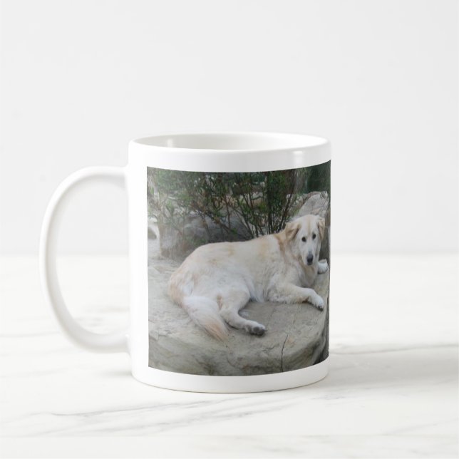 Taza De Café Dog Resting On A Rock (Izquierda)